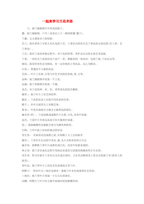 一起来学习兰花术语兰