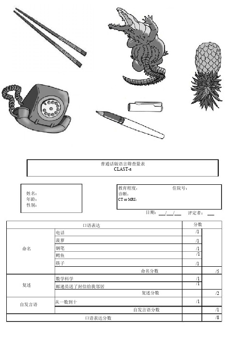 普通话版语言筛查量表CLAST-a