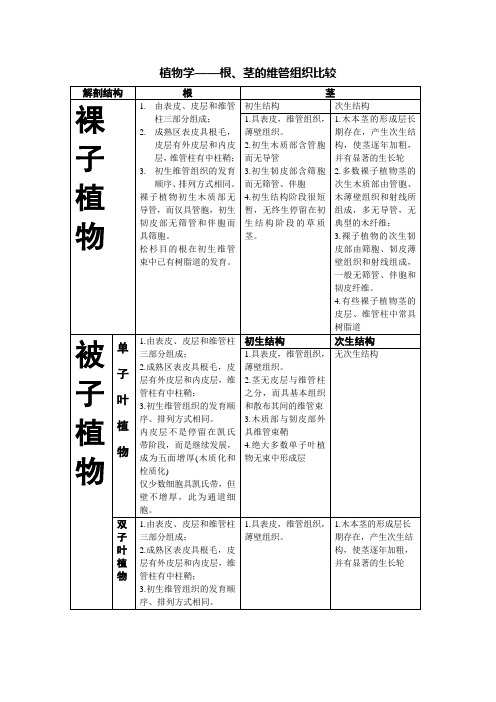 根茎的比较