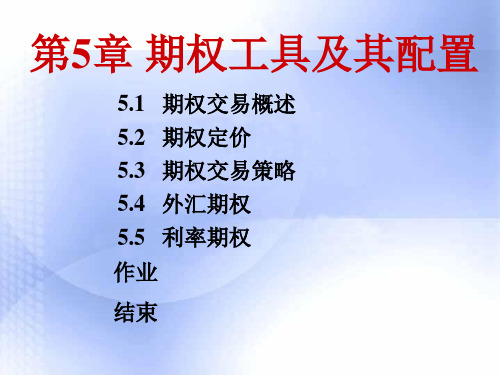 第5章 期权工具及其配置