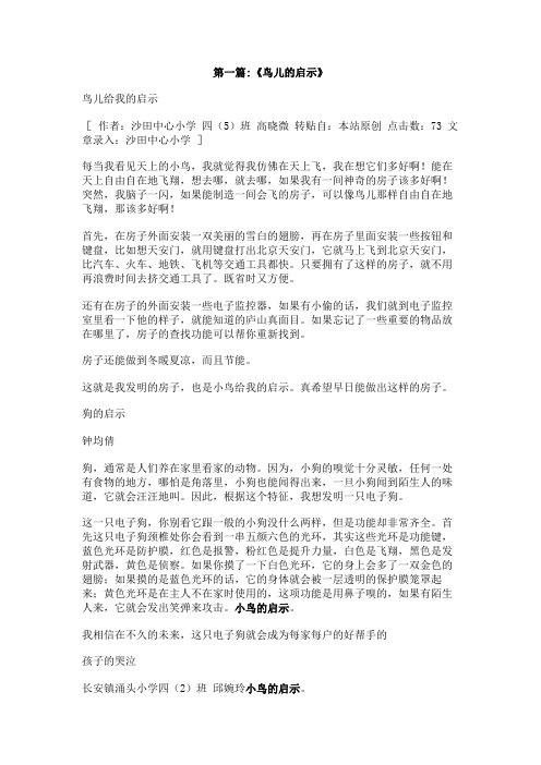 小鸟的启示
