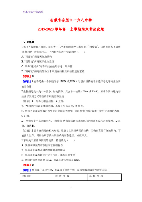 2019-2020学年安徽省合肥市一六八中学高一上学期期末考试生物试题(解析版)