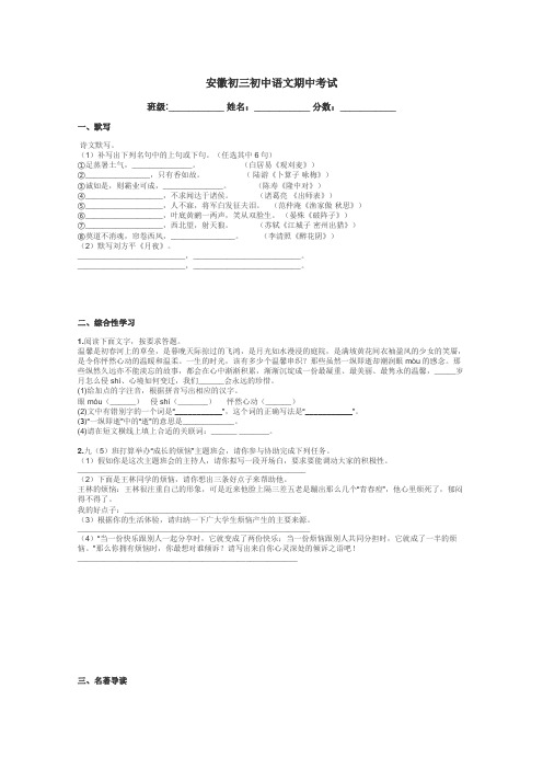 安徽初三初中语文期中考试带答案解析
