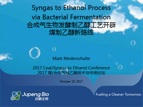 生物发酵工艺,合成气生产乙醇