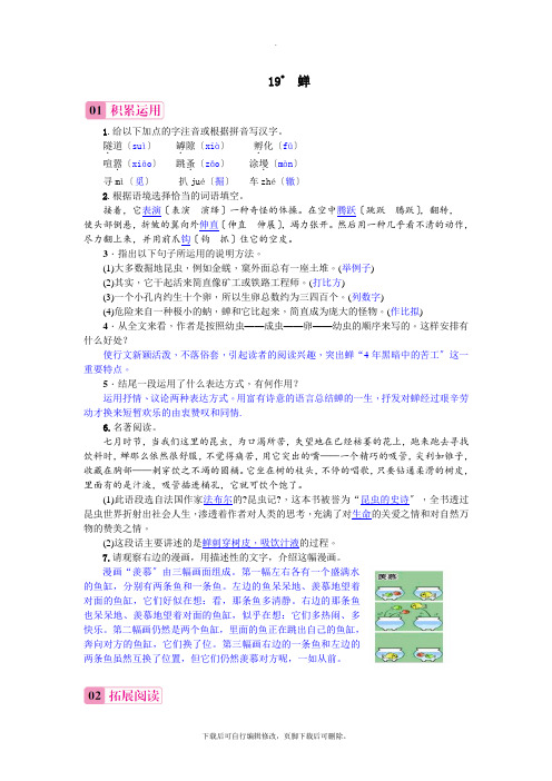 部编人教版语文八年级上册 19 蝉 习题