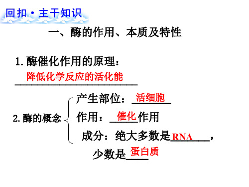 高考生物新课标一轮复习第4讲酶与ATPPPT课件