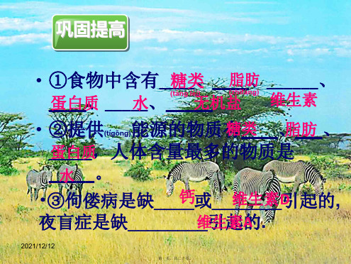 七年级生物下册 第二章 第二节 消化和吸收(第1课时)课件 