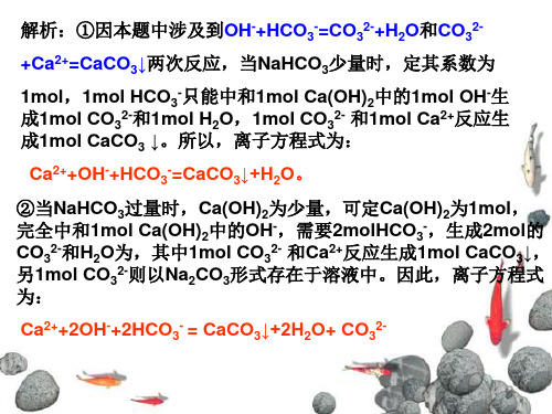 与量有关的离子方程式的书写ppt课件