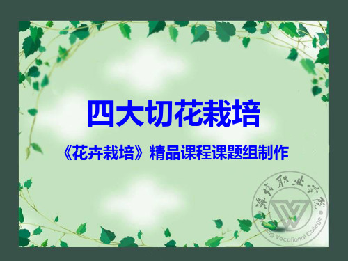 切花月季
