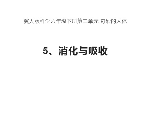 六年级科学下册_5消化与吸收80冀人版(12张ppt)标准课件