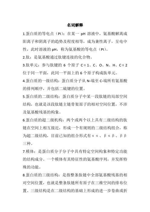 生物化学与分子生物学第八版蛋白质的结构与功能解析