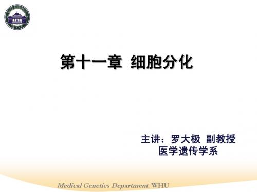 第十一,十二章