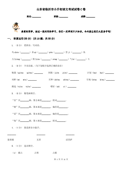 山东省临沂市小升初语文考试试卷C卷