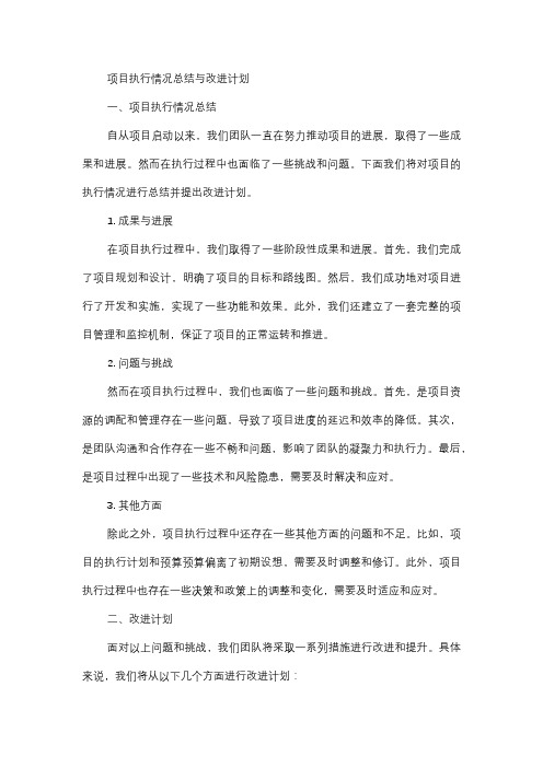  项目执行情况总结与改进计划