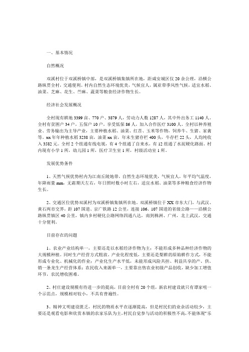 2011年新农村建设规划