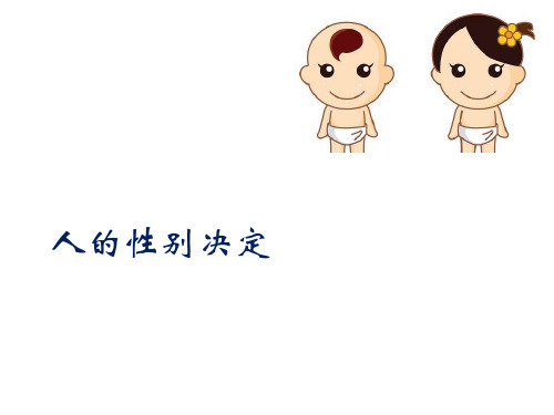 北京课标版初中生物八年级上册第十一章第三节 人类的遗传(共15张PPT)