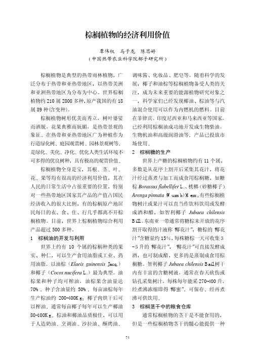 棕榈植物的经济利用价值