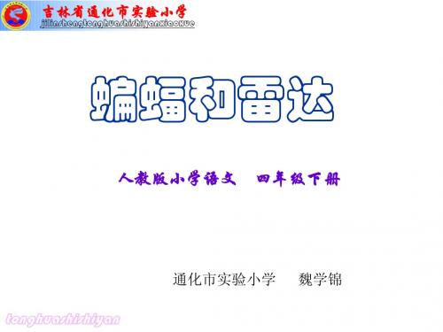 《蝙蝠和雷达》演示课件