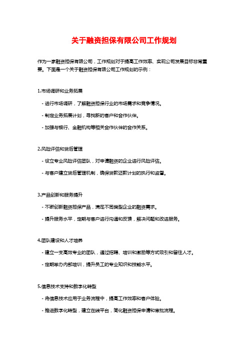 关于融资担保有限公司工作规划