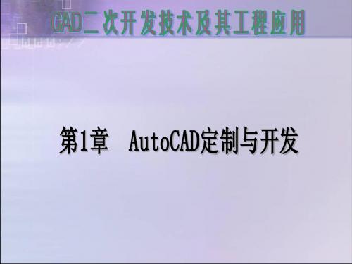 二次开发第1章