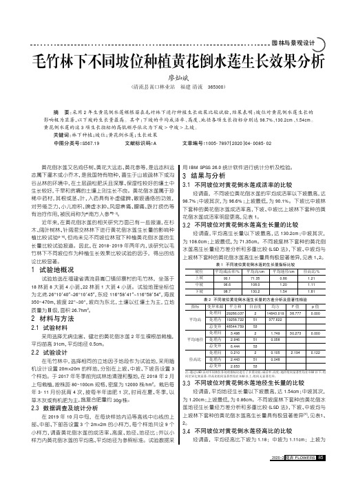 毛竹林下不同坡位种植黄花倒水莲生长效果分析