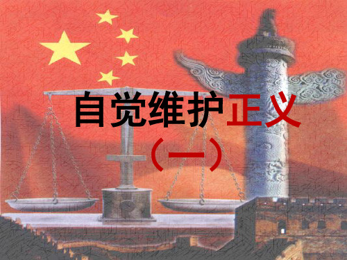 初中政治  自觉维护正义PPT课件3 人教版  优秀公开课件