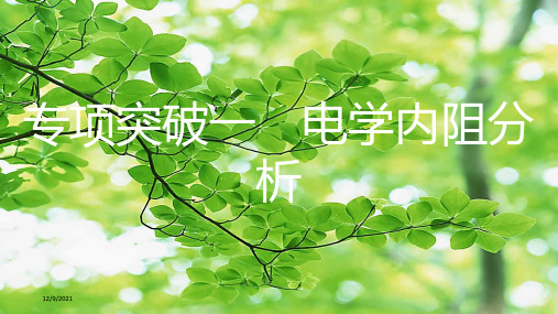中考物理一轮复习 模块四 电磁学 专项突破一 电学内阻分析物理课件