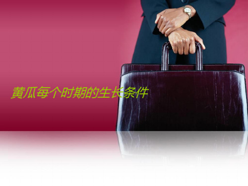 黄瓜生长条件