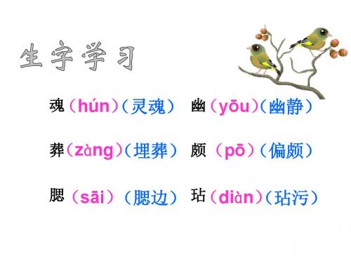 人教版五年级上册语文6《梅花魂》ppt课件