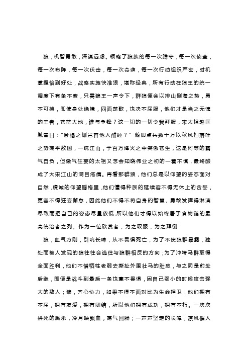 狼的智慧