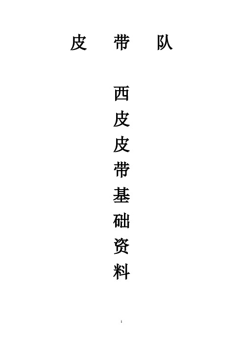 西皮基础资料