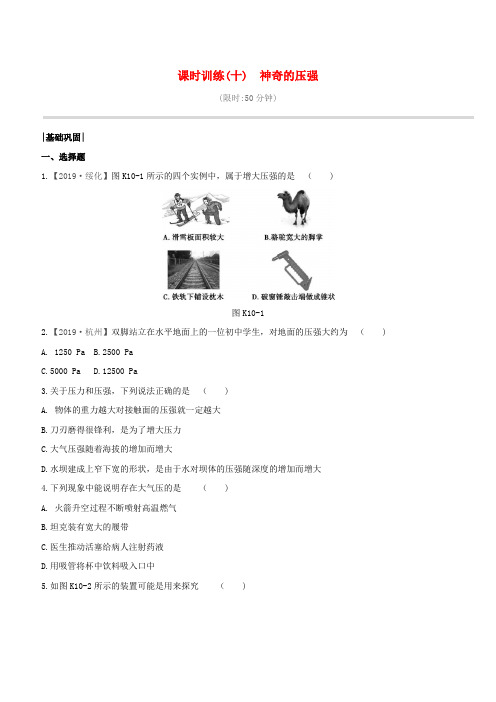2020版中考物理复习课时训练10神奇的压强试题含答案