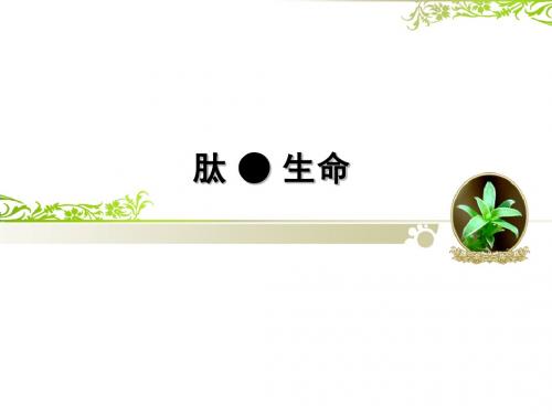 肽 ● 生命
