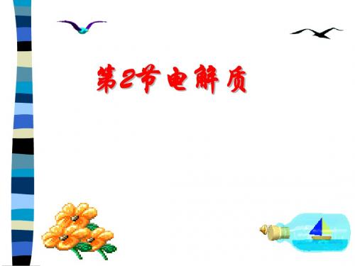 化学课件《电解质》优秀ppt13 鲁科版