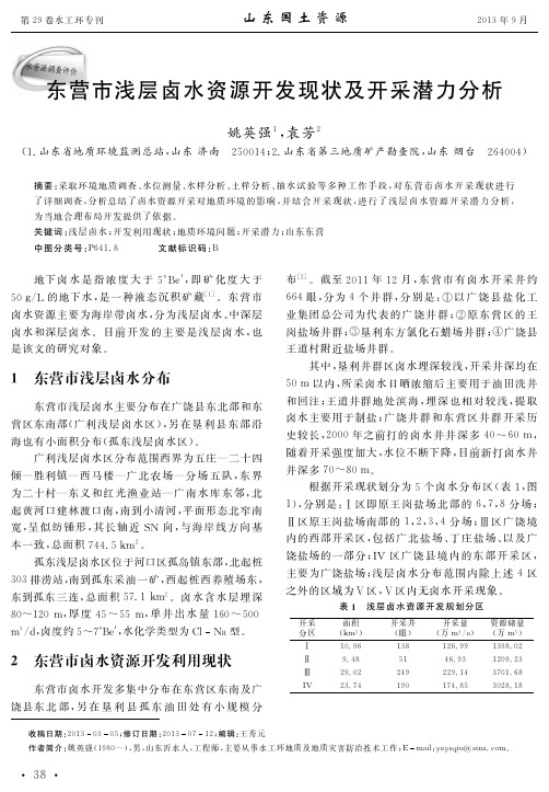东营市浅层卤水资源开发现状及开采潜力分析