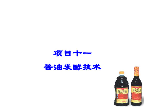 发酵与酿造技术11、酱油发酵技术