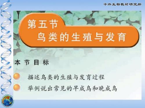 鸟类的生殖与发育