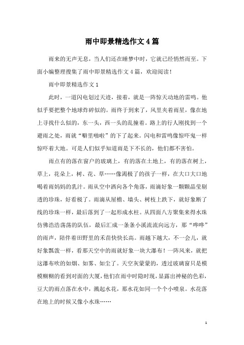 雨中即景精选作文4篇