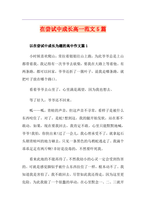 在尝试中成长高一范文5篇