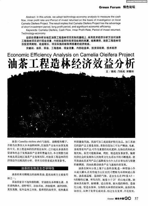 油茶工程造林经济效益分析