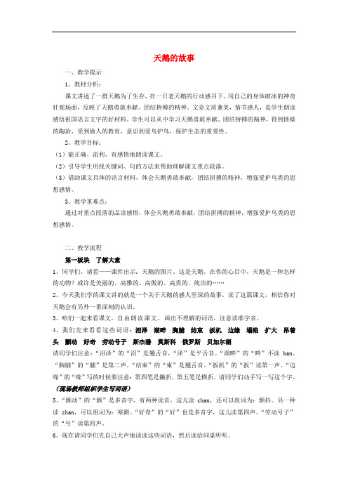四年级语文下册 16 天鹅的故事教案 苏教版