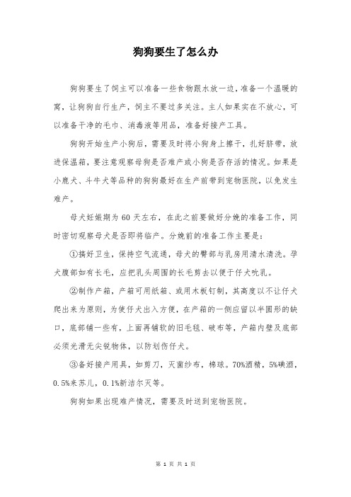 狗狗要生了怎么办