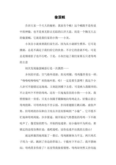 偷蛋贼