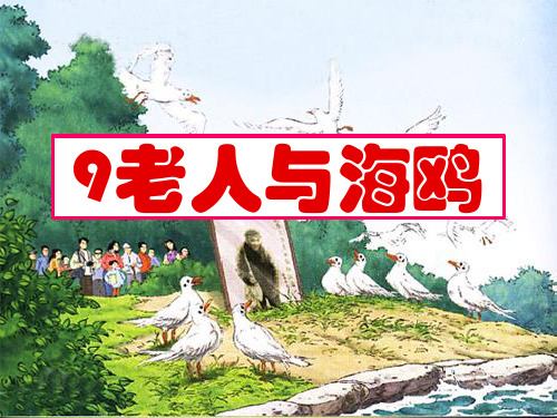 人教版小学语文六年级上册《老人与海鸥》