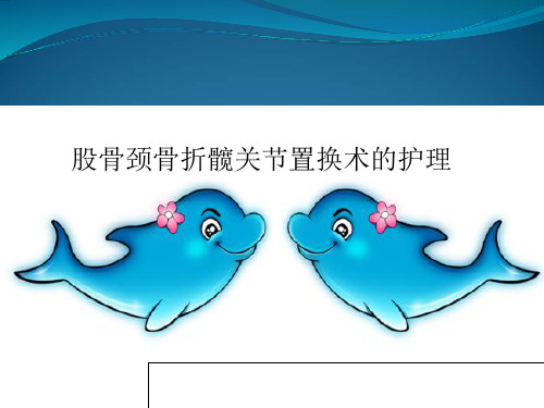 股骨颈骨折髋关节置换术的护理 ppt课件