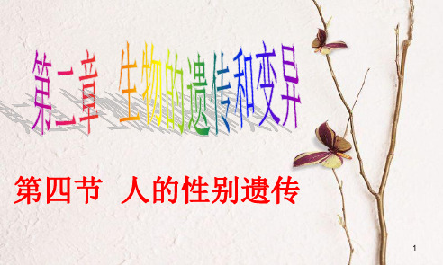 八年级生物下册 第七章 第四节人的性别遗传课件 (新版)新人教版.pptx