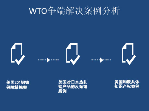 WTO争端解决案例分析ppt课件