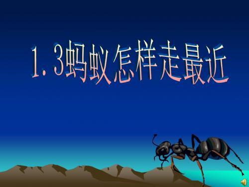 蚂蚁怎么走最近--北师大版