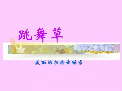 跳舞草