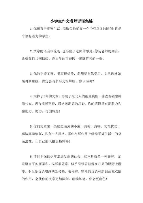 小学生作文老师评语集锦